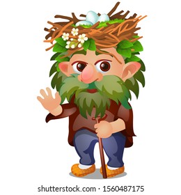 The Goblin forest, grandfather Ranger overgrown, with a nest of eggs on his head isolated on a white background. Vector cartoon close-up illustration