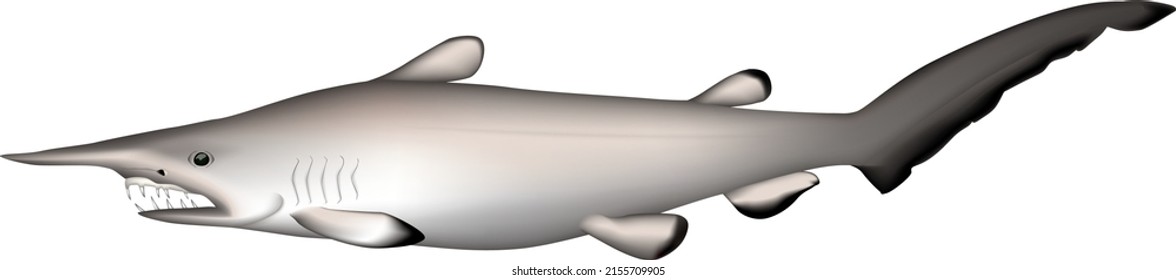 'Goblin shark' deep sea animal illustration. Vector EPS format.