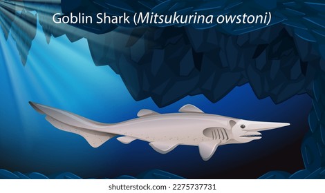 Goblin Shark (Mitsukurina owstoni) Vector Design ilustración