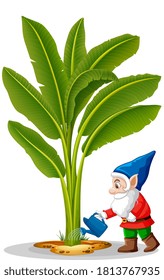 Goblin watering banana tree position in cartoon character on white background illustration