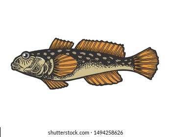 Goby fish animal color sketch engraving vector illustration. Tee shirt apparel print design. Scratch board style imitation. Black and white hand drawn image.