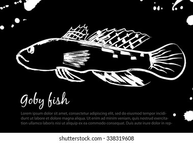 Goby fish. Vector isolated illustration. Ink. Hand drawn