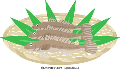 Goby Illustration.
Illustration of fish.