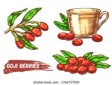 Godji set with branch, ripe berries and cup of tea