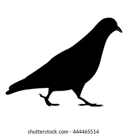 Going black pigeon silhouette, vector illustration isolated on background