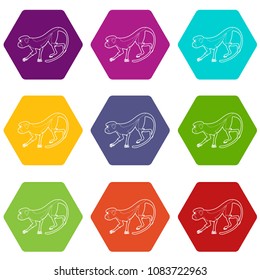 Going forward monkey icons 9 set coloful isolated on white for web