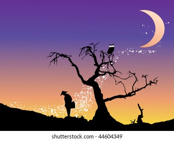 going home at star night