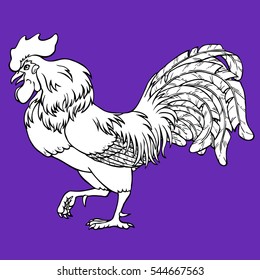 Going rooster coloring on violet background. Decorative chicken monochrome. Coloring page book. A symbol of the Chinese new year 2017 according to east calendar.