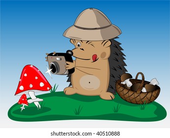 going for a walk on the forest hedgehog