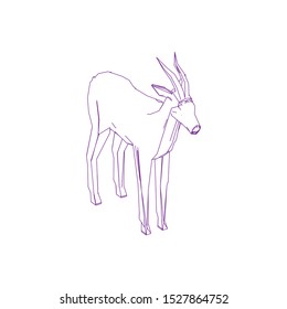 Goitered gazelle animal character. Vector isolated cartoon African wild black-tailed gazelle species with long horns. Zoo, zoology or hunting open season and Safari theme