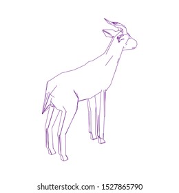 Goitered gazelle animal character. Vector isolated cartoon African wild black-tailed gazelle species with long horns. Zoo, zoology or hunting open season and Safari theme