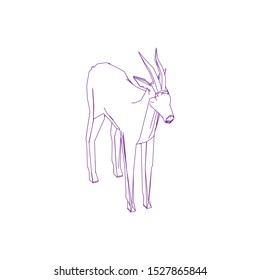 Goitered gazelle animal character. Vector isolated cartoon African wild black-tailed gazelle species with long horns. Zoo, zoology or hunting open season and Safari theme