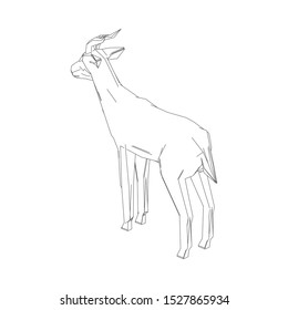 Goitered gazelle animal character. Vector isolated cartoon African wild black-tailed gazelle species with long horns. Zoo, zoology or hunting open season and Safari theme