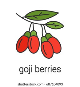 Goji berries color icon. Flavoring, seasoning. Goji tree branch. Isolated vector illustration