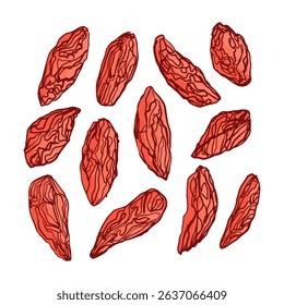 Goji berries color vector illustration isolated on white background for health wellness food packaging designs culinary web application