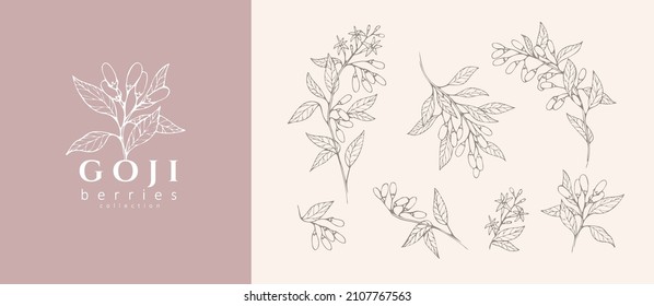 Goji berries flowers floral branch and logo set. Hand drawn line herb, elegant leaves for invitation save the date card. Botanical rustic trendy greenery