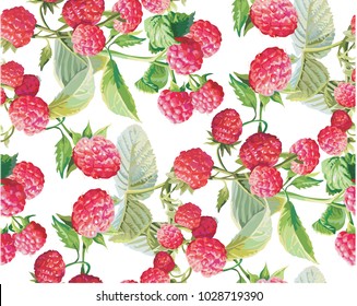 Goji berries guarana seamless pattern background red fruits dietary drawing energy food vector illustration. Healthy plant botany medicine antioxidant.