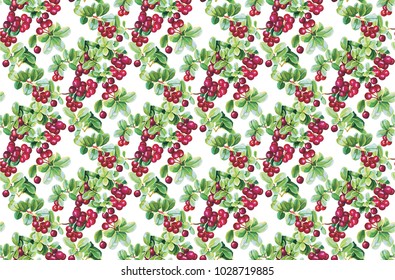 Goji berries guarana seamless pattern background red fruits dietary drawing energy food vector illustration. Healthy plant botany medicine antioxidant.
