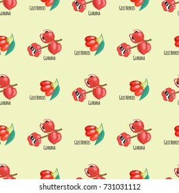 Goji berries guarana seamless pattern background red fruits dietary drawing energy food vector illustration.