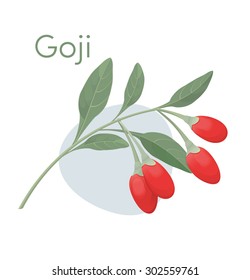 Goji berries on a branch. Vector illustration. 