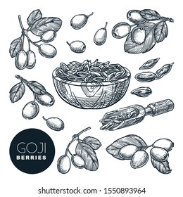 Goji berries sketch vector illustration. Wolfberries harvest in wooden bowl. Hand drawn gojiberries isolated design elements.