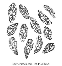 Goji berries sketch vector illustration isolated on white background for health wellness food packaging design