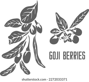 Goji berries vector silhouette. Lycium barbarum medicinal herbal outline. Goji fruits silhouette for pharmaceuticals and coocking. Set of outline Goji berries with leafs.