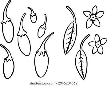 Goji berry elements set. Illustration of wolfberry leaves and flowers isolated in white background. Superfood vector design. Berry silhouette.