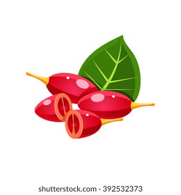 Goji Berry Flat Vector Sticker Simplified Design Isolated On White Backgroung