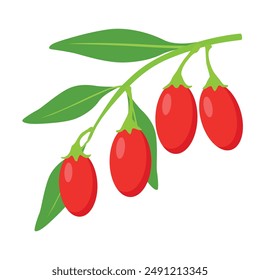 Goji berry. Goi or wolfberry vector illustration.