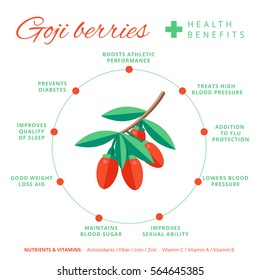 Goji berry health benefits and nutrition infographics. Superfood wolfberry fruit nutrients and vitamins information. Healthy detox natural product info. Flat vector organic food icon.