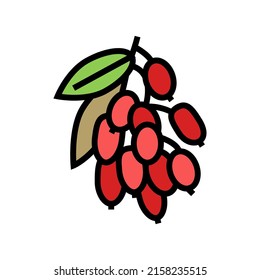 goji berry and leaves color icon vector. goji berry and leaves sign. isolated symbol illustration