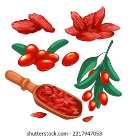 goji berry red set cartoon. food leaf, healthy, fruit antioxidant, wolfberry vitamin, chinese health, organic goji berry red vector illustration