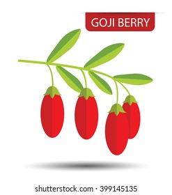 Goji berry vector illustration