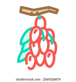 goji food color icon vector. sign. isolated symbol illustration