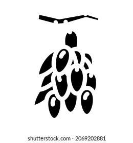 goji food glyph icon vector. sign. isolated contour symbol black illustration