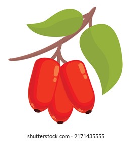 Goji fruit icon cartoon vector. Berry plant. Organic fruit