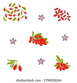 Goji vector illustration set, design template. Goji, wolfberry hand drawn berries with flowers and leaves
