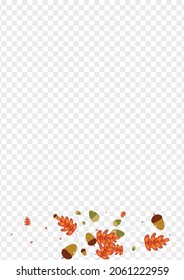 Gold Acorn Background Transparent Vector. Foliage Elm Texture. Golden Plant. Decorative Set. Yellow Leaves Silhouette.