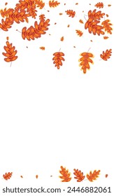 Gold Acorn Background White Vector. Oak Season Design. Yellow Leaves. Realistic Illustration. Green Leaf Label.