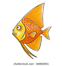 Gold Angelfish