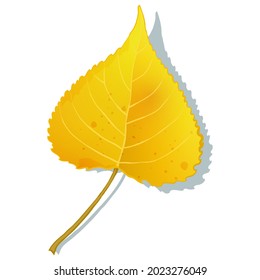 Gold aspen autumn leaf isolated on white background. Simple cartoon flat style vector illustration.
