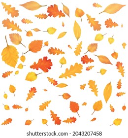 Gold Autumn background. Golden maple and oak leaves. Vector
