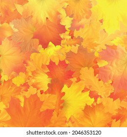 Gold Autumn background. Golden maple and oak leaves. Vector