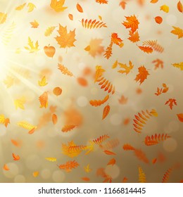 Gold autumn bokeh background with maple autumn leaves. EPS 10
