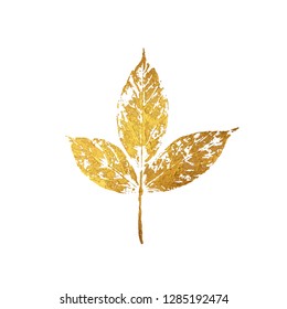 Gold autumn leaf as vector design element isolated on white background