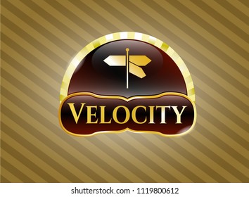  Gold badge with directions sign icon and Velocity text inside