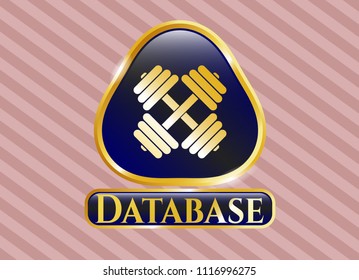 Gold badge with dumbbell icon and Database text inside