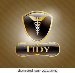 Gold badge or emblem with Caduceus medical icon and Tidy text inside