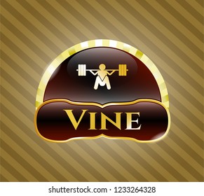  Gold badge or emblem with deep squat icon and Vine text inside